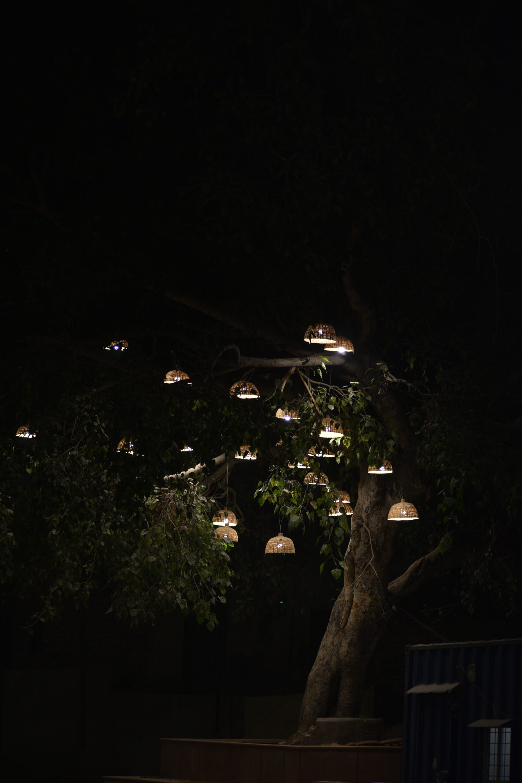 A Tree Adorned with Decorative Bulbs